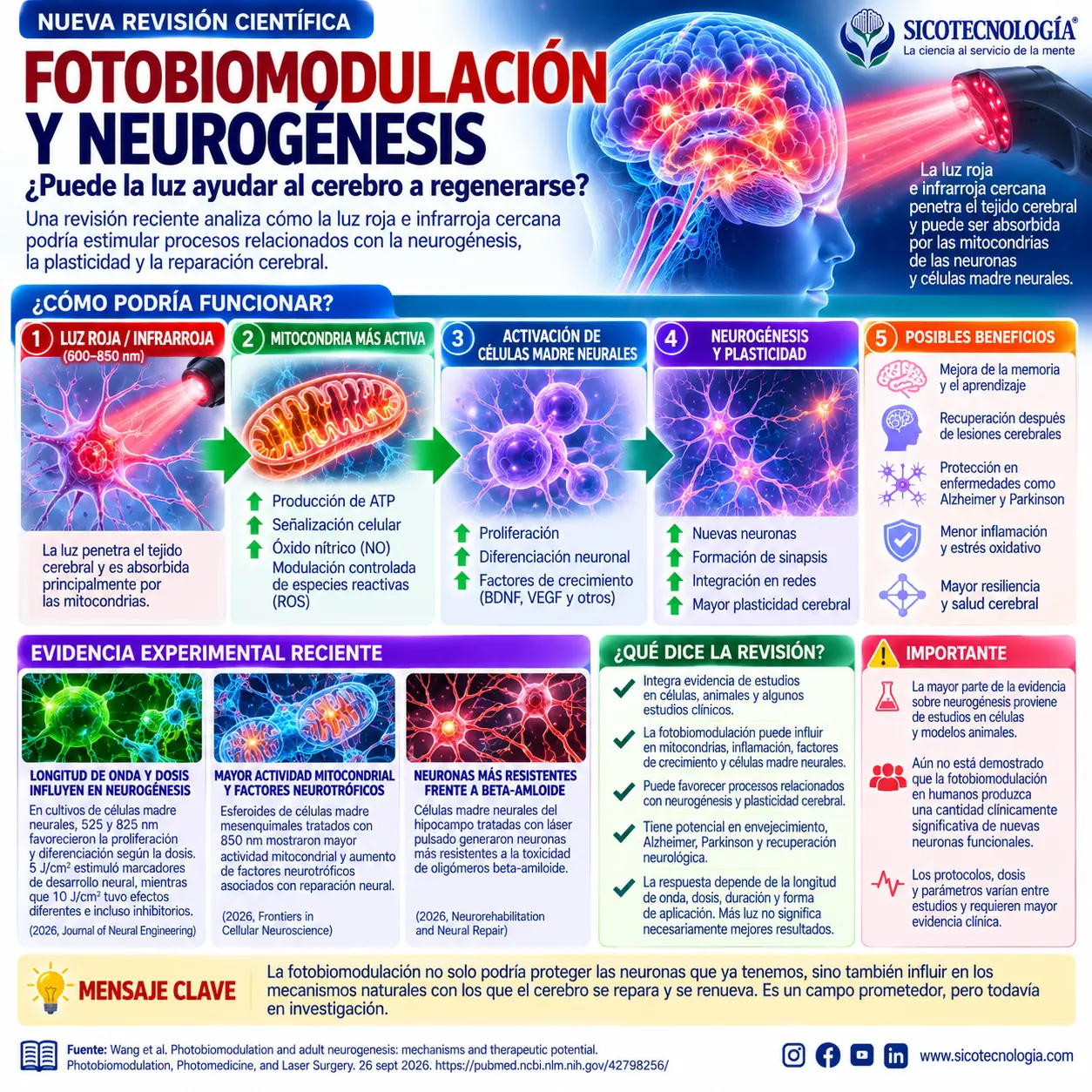 Novedad científica