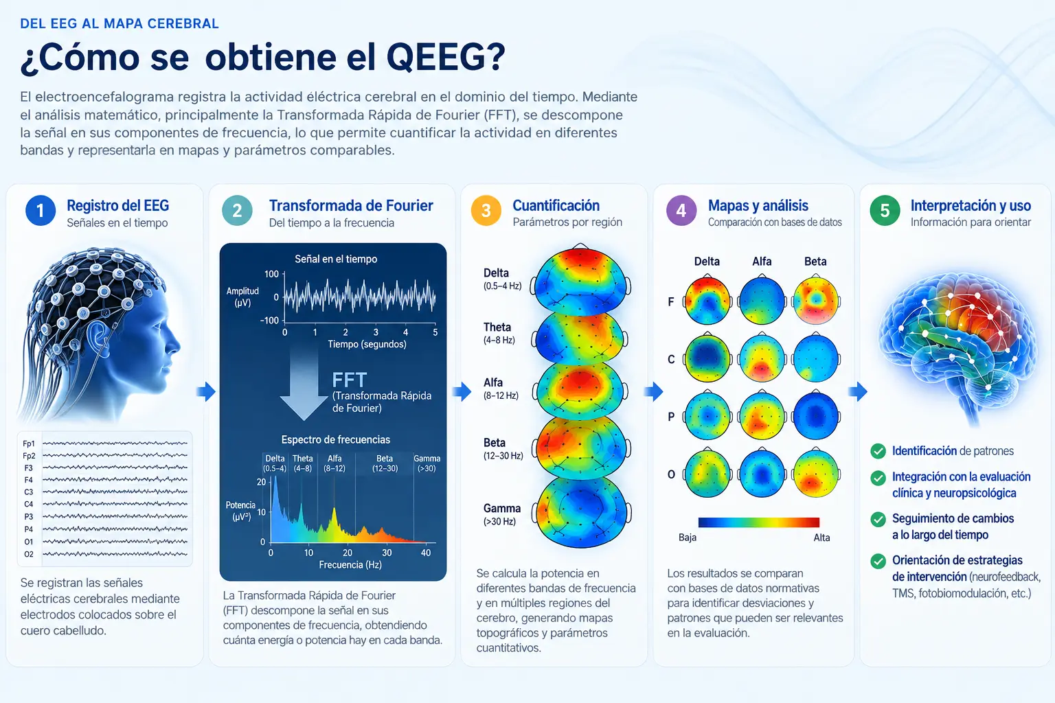 Proceso de transformación del EEG mediante FFT en espectros de frecuencia y mapas QEEG